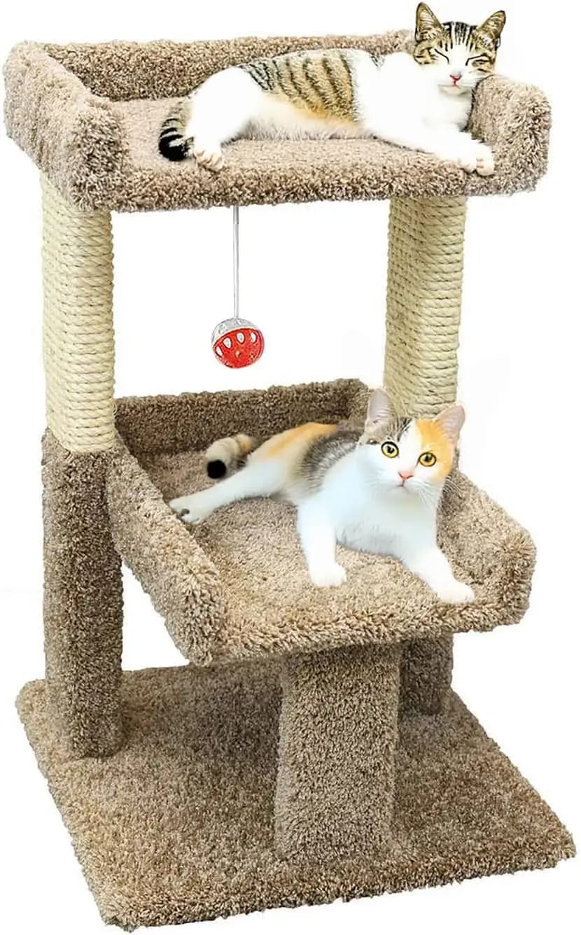 Large Cat Perch for Big Cats, Solid Wood, Compact 20"W x 20"D x 32"H