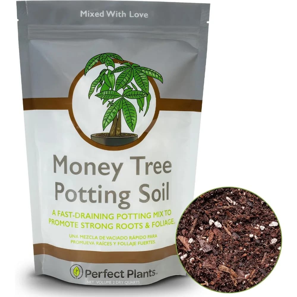 Money Tree Potting Soil 2qt | Organic Coco Coir Based Plant Mix for Indoor Trees | Quickly Grow Your Indoor Forest (2qts.)