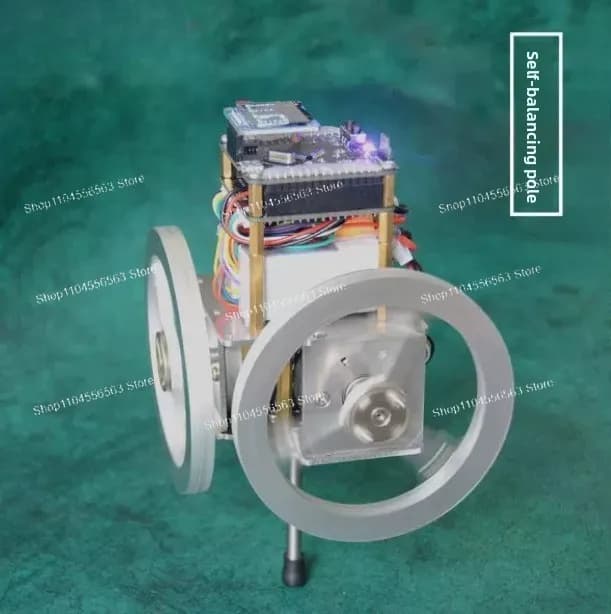 Robot a Palo Bilanciato, Dispositivo Auto-Bilanciante a Pendolo Invertito per Controllo Automatico e Didattica