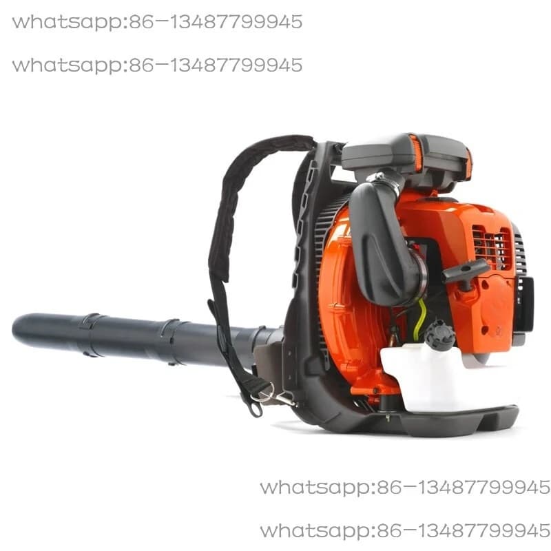 580BTS Backpack Hair Dryer, Sheet Cleaning Machine, Spazzaneve