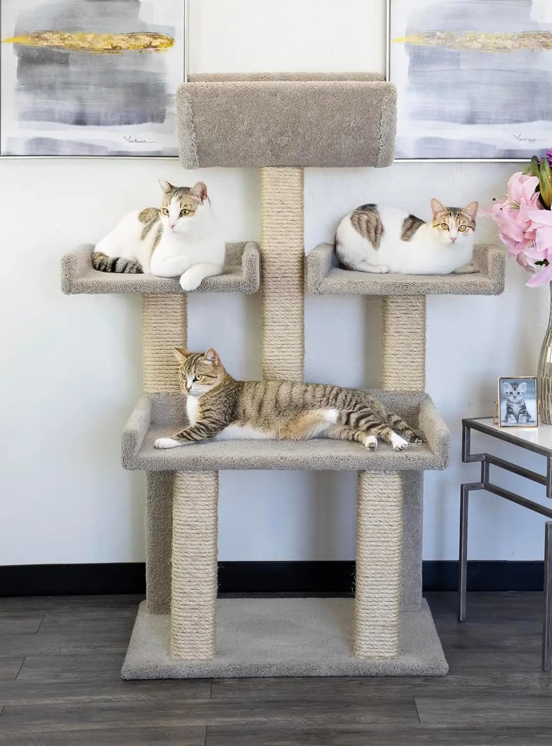 Torre per Gatti di Grandi Dimensioni, per Uso Interno, in Legno e Sisal, Multicolore
