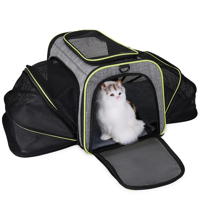 Borsa da trasporto portatile per animali domestici Zaino per cani traspirante con finestra in rete Borsa da viaggio espandibile per gatti domestici Cerniera di sicurezza pieghevole