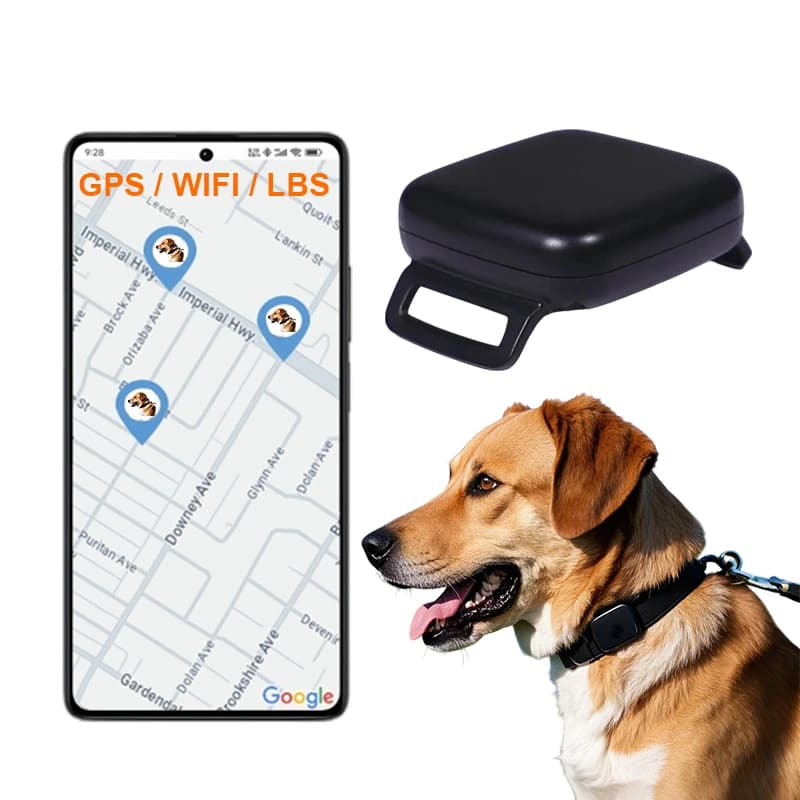 Xexun Pet Dog Collar Tracker Find My Pet Activity Animal Tracker GPS Satellite Pet Locator Anti-Lost Device iOS Android