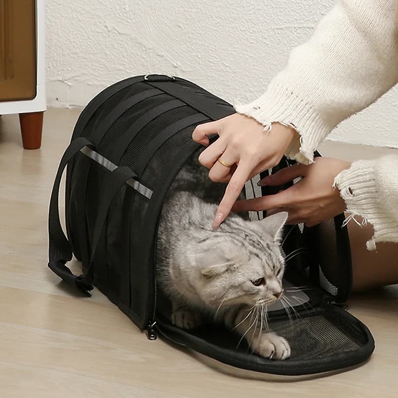 Pet Carrying Bag Pet Outing Portable Cat bag Summer Outdoor Carrier Breathable Handbag suitable for small dog pet Supplies