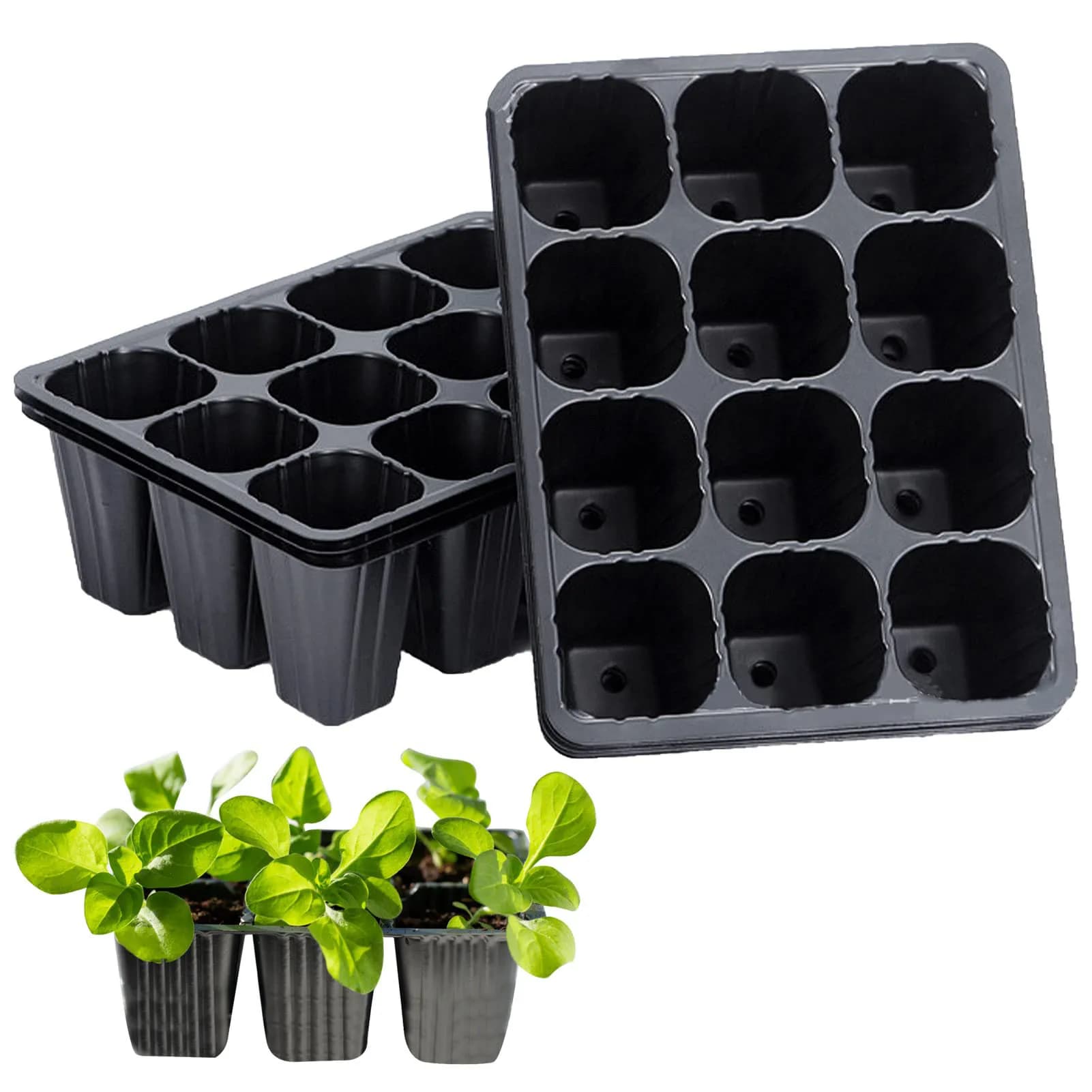 Jars for Semina at 12 Holes, Black Tray for Semina, Garden Vase for Germination Seeds, Plant Planter, Container for Cultivation 10/20 Pieces