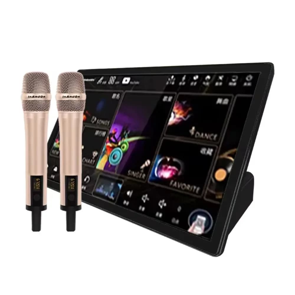 Sistema Karaoke per Intrattenimento, Lettore Karaoke KTV da 19 Pollici con 4TB di Memoria e Microfono Wireless