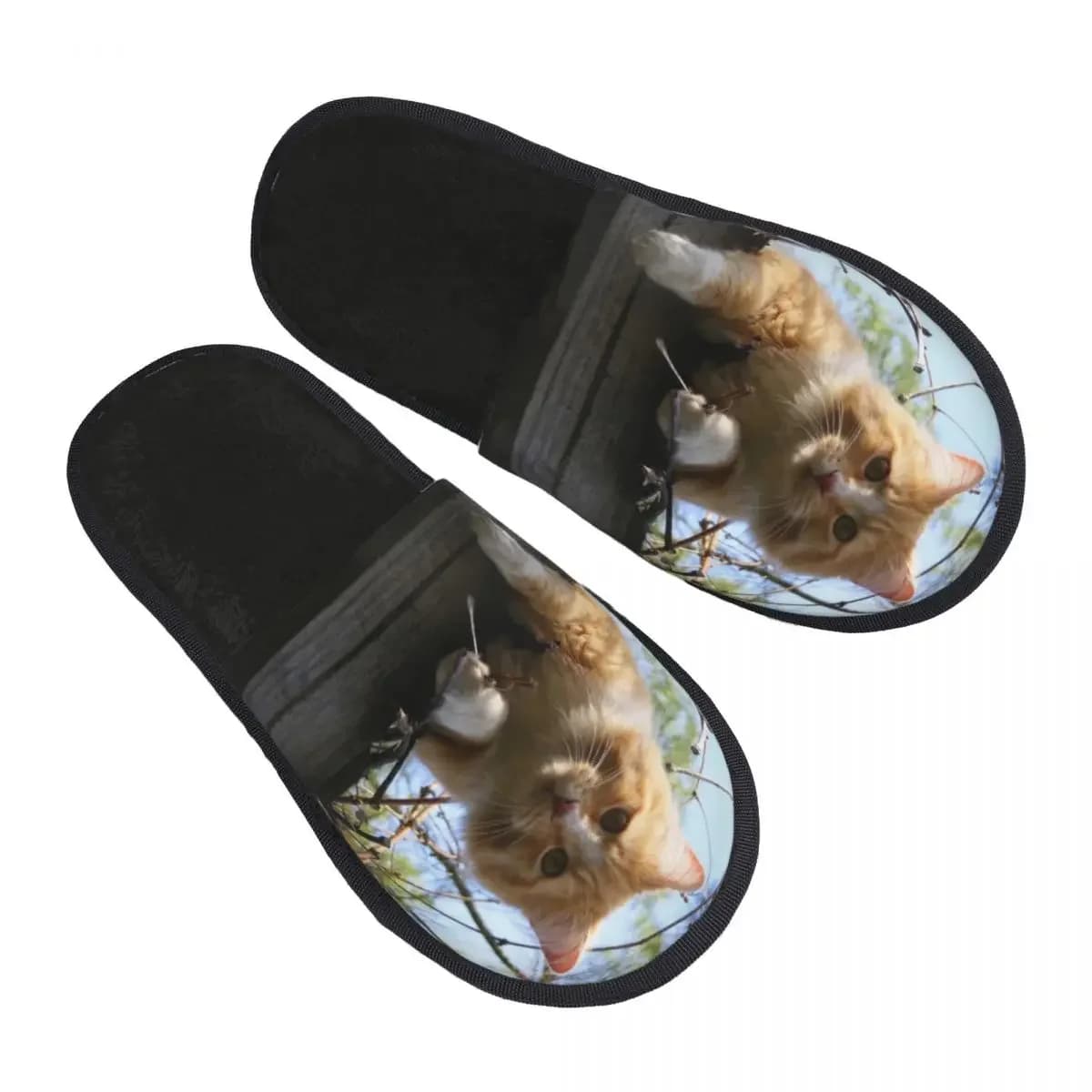 Pantofola invernale donna uomo moda soffici pantofole calde gatto sopra le pantofole da casa in legno scarpe divertenti