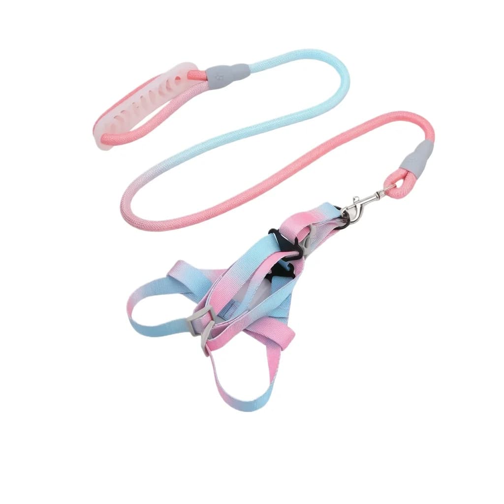 Dopamine Gradient No Pull Dog Harness & Leash Set Soft Sponge Handle Escape Proof Adjustable Pet Vest for Small Medium Puppies