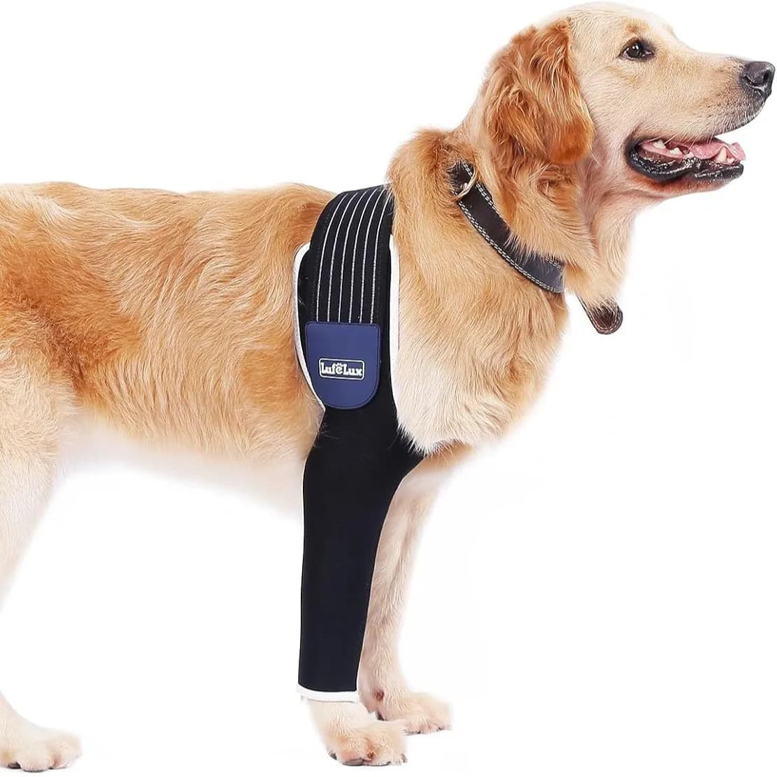 Supporto per Ginocchio per Cani, Protezione Antilampeggio, Supporto per Zampa Anteriore, Cura delle Articolazioni per Animali Domestici