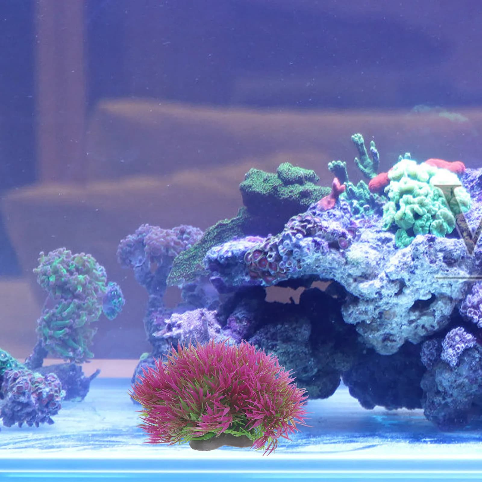 6 Pieces Artificial Plants Plastic Realistics for Aquarium, Decorations for Fish Tanks, Red Fish, Freshwater and Salad, Natural Effect