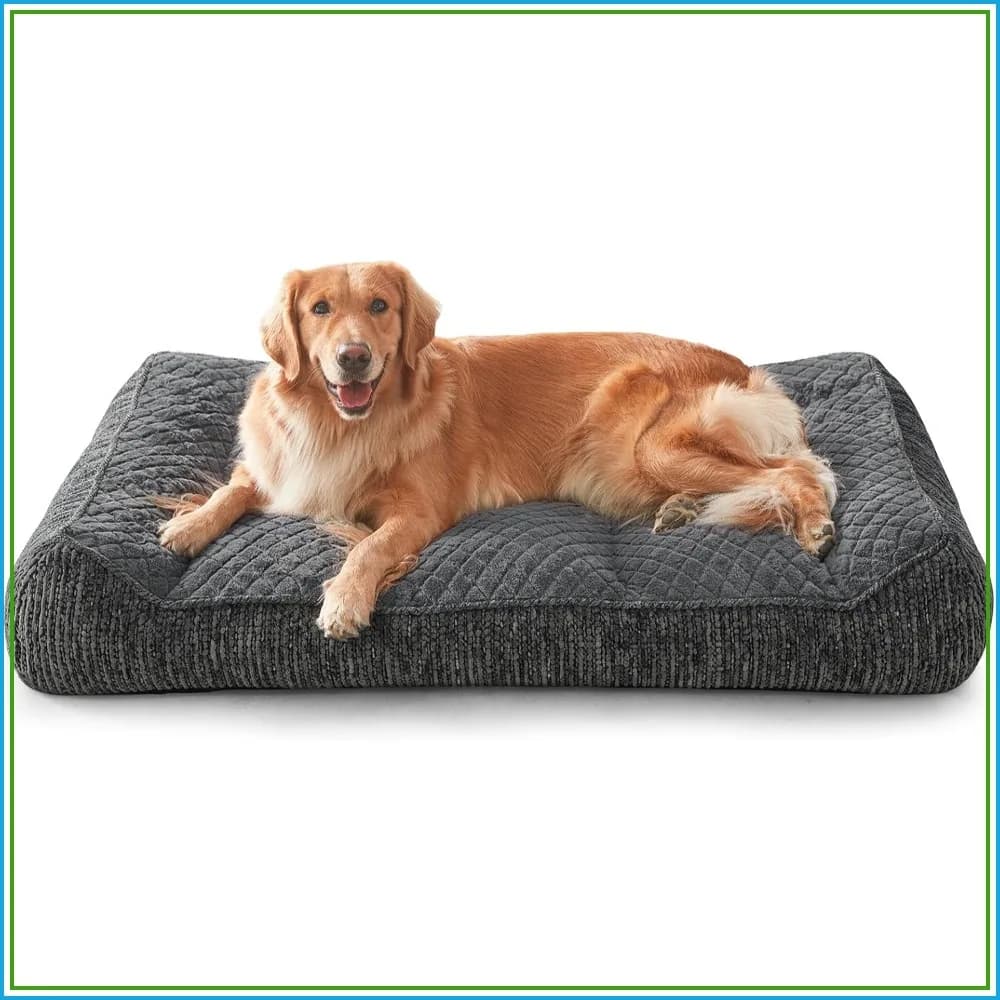 Extra Large Orthopedic Dog Bed with Bolster Sides, Thick Foam, Removable Washable Cover, Non-Slip Bottom, 48x35 Inches