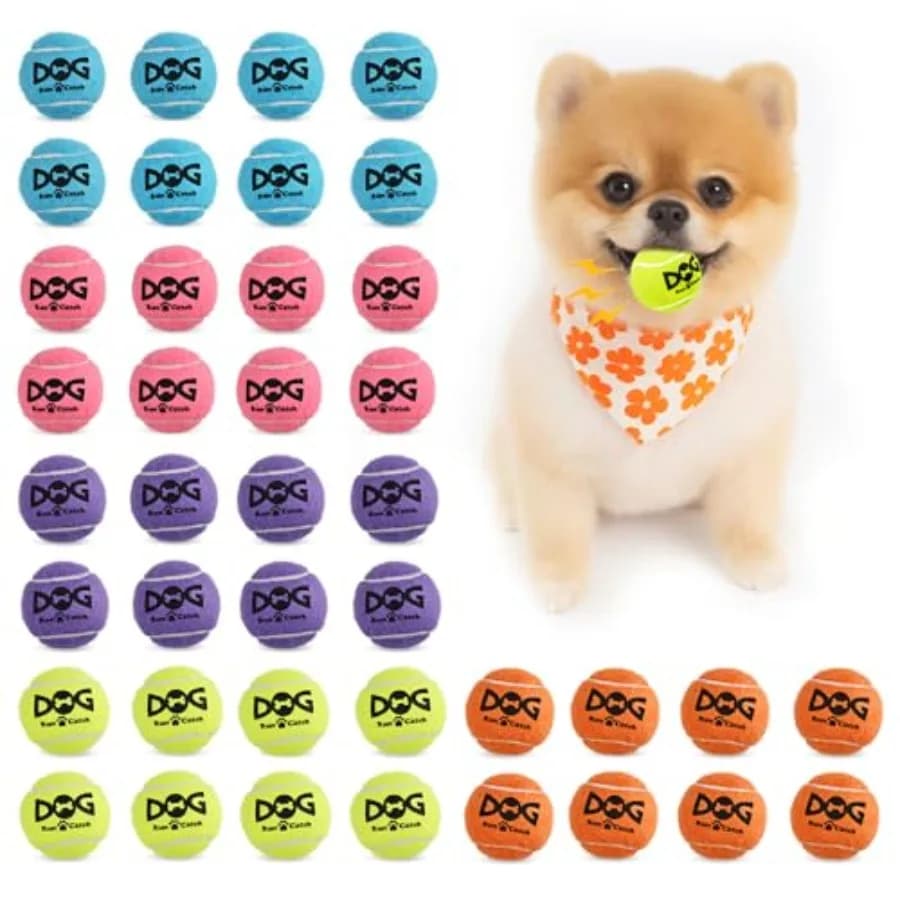 Confezione da 40 Palline da Tennis Piccole per Cani - Palline Giocattolo Squeaky da 2 Pollici con Sacchetto in Rete, Certificate SGS, Durevoli, Non Tossiche, con Squeaker Integrato