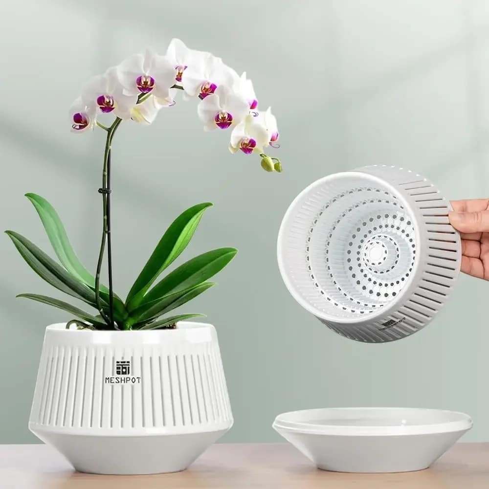 Vaso per orchidee Meshpot con fori Fioriera per orchidee da 5 pollici con fori di drenaggio e vassoio che promuove la circolazione dell'aria e il drenaggio