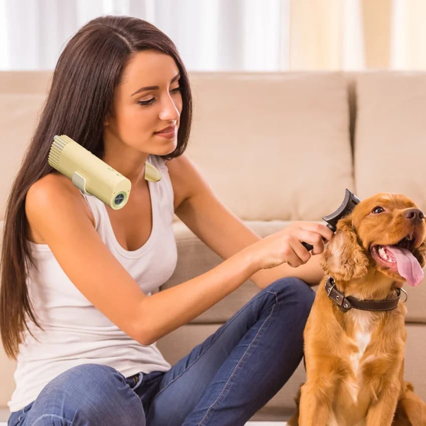 Gli asciugacapelli per cani e gatti vendono bene tendenze popolari Prodotti per cani Asciugacapelli portatili ad asciugatura intelligente
