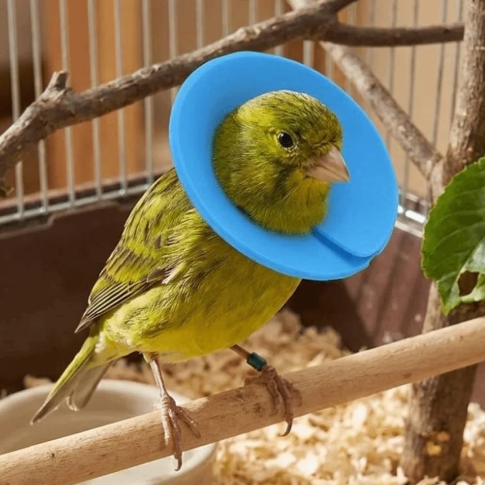 Collare Elisabettiano Anti-Morso per Animali Domestici, Regolabile, Confortevole, Anti-Leccamento, Morbido e Colorato, per Toelettatura
