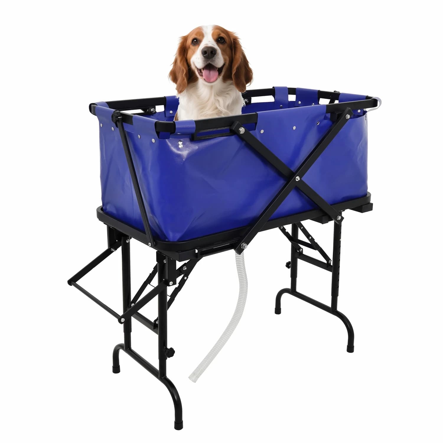 Vasca da bagno pieghevole ecologica personalizzata per animali domestici, prodotti per la toelettatura e la pulizia, shampoo per cani realizzati in PVC e poliestere