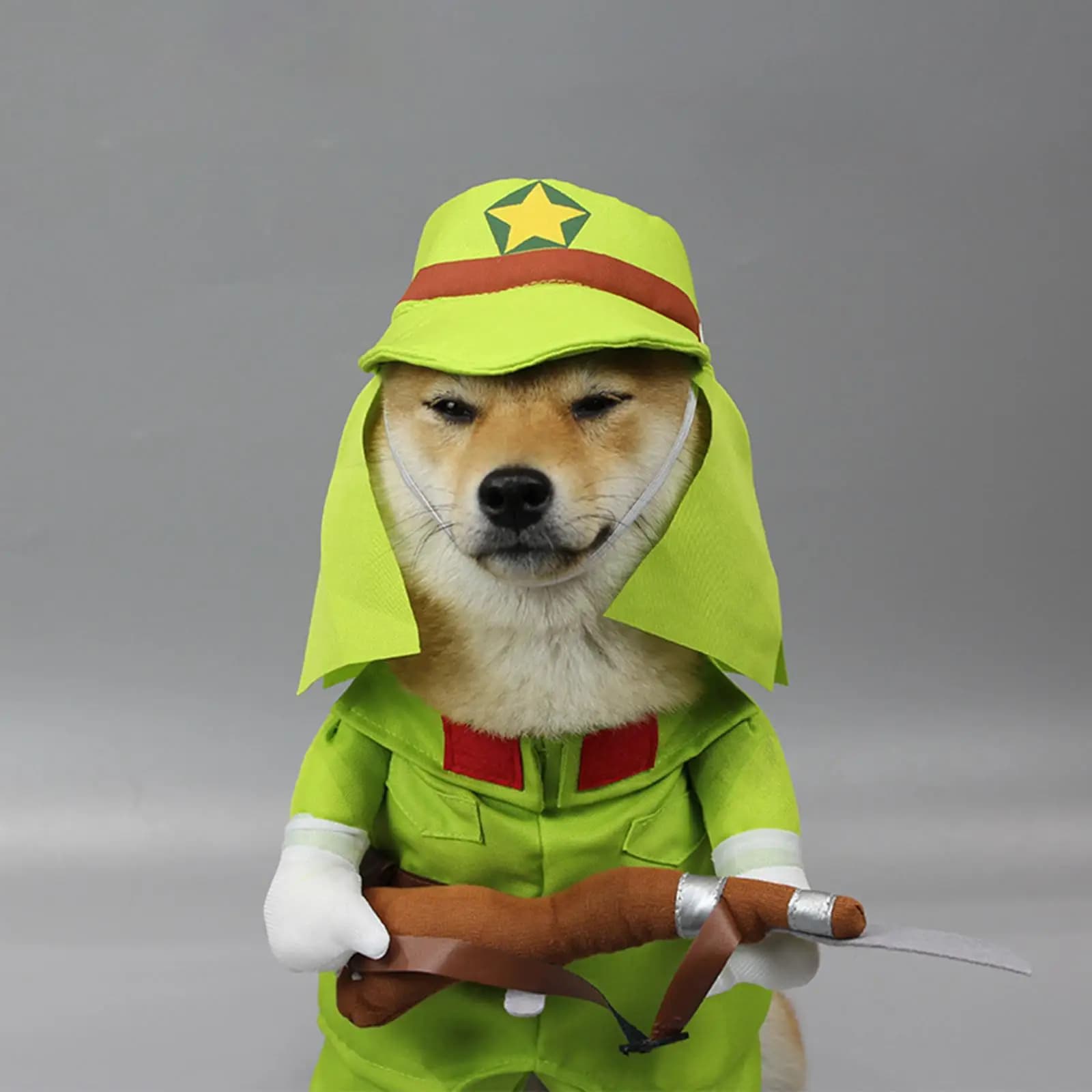 Corgi Clothes Decor Funny Halloween Clothing for Walking Outdoor Photograph