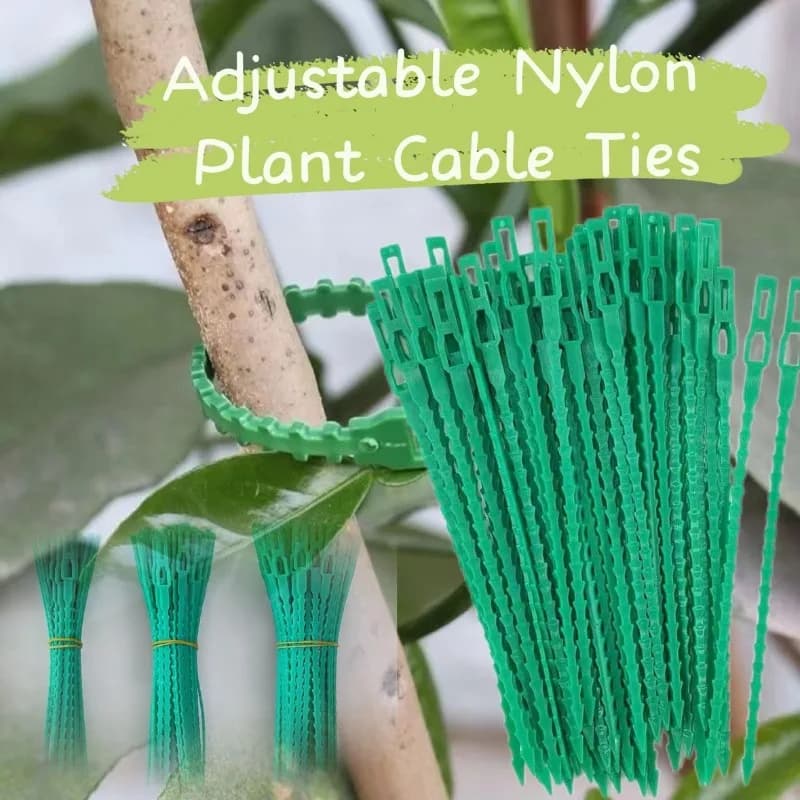 50-500pcs Adjustable Plastic Plant Cable Ties Reusable Cable Ties for Garden Tree Climbing Support Plant Vine Tomato Stem Clips