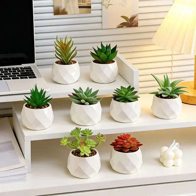 Mini Piante Succulente Artificiali - Cactus Sempreverdi Simulati in Plastica per Decorazione Casa