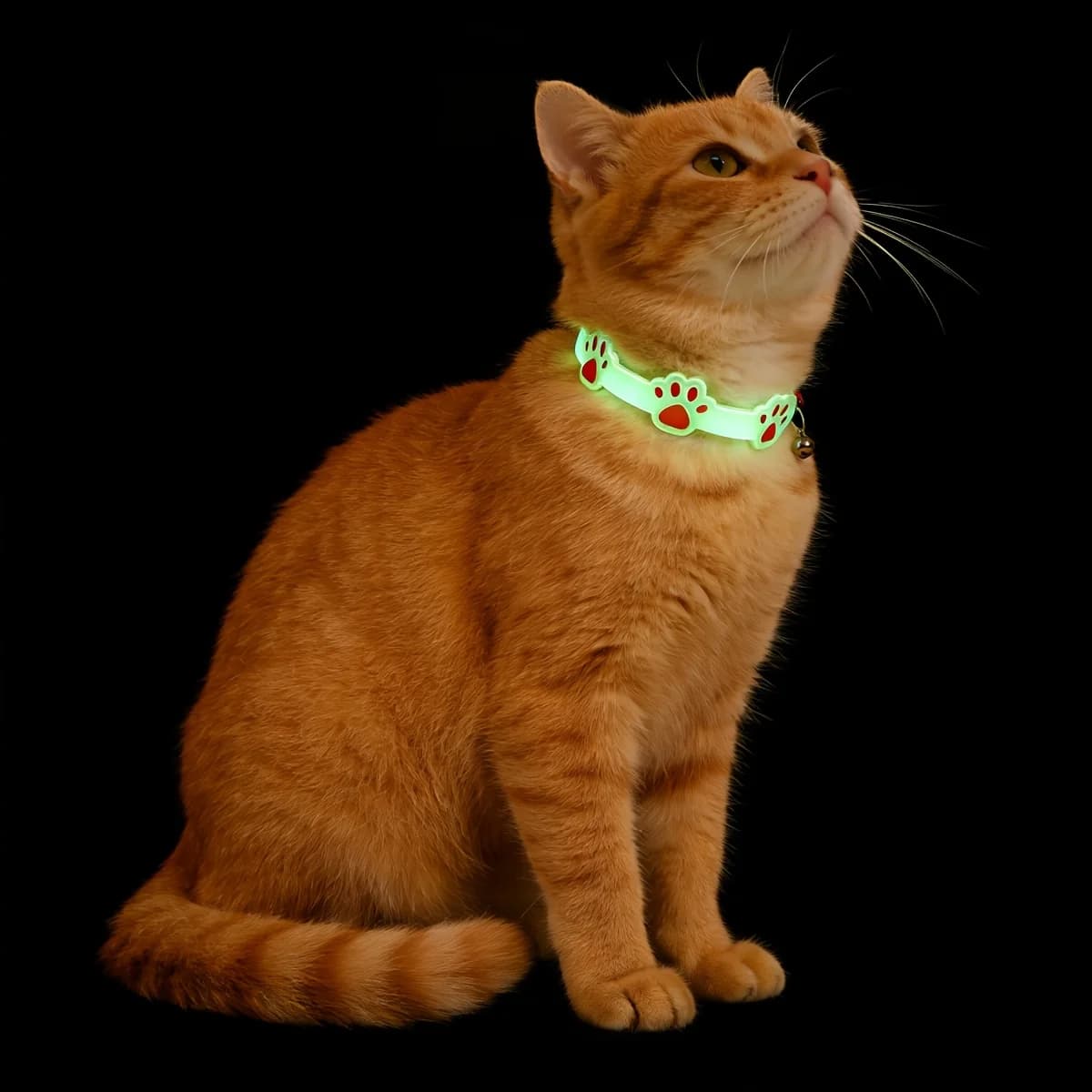 2pcs Glow-In-The-Dark Pet Collar | Paw Print Luminous Bell Collar, Night Safety Anti-Lost For Cats & Small Dogs, Random Color