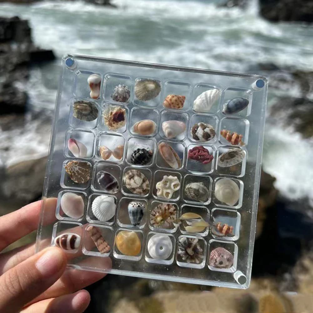 Scatola di visualizzazione di conchiglie magnetiche in acrilico Scatola di immagazzinaggio di diamanti con display di conchiglie Scomparto per piccoli organizzatori artigianali 36/64/100 griglie