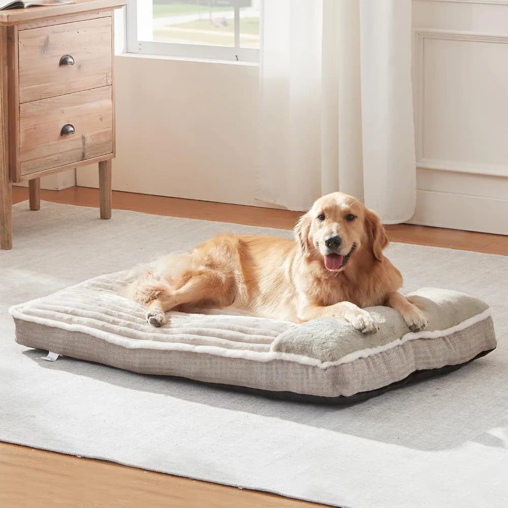 Letto per cani extra large con cuscino, materasso morbido per cuccia o divano, adatto a tutte le dimensioni di cani (beige, 46x30x4 pollici)