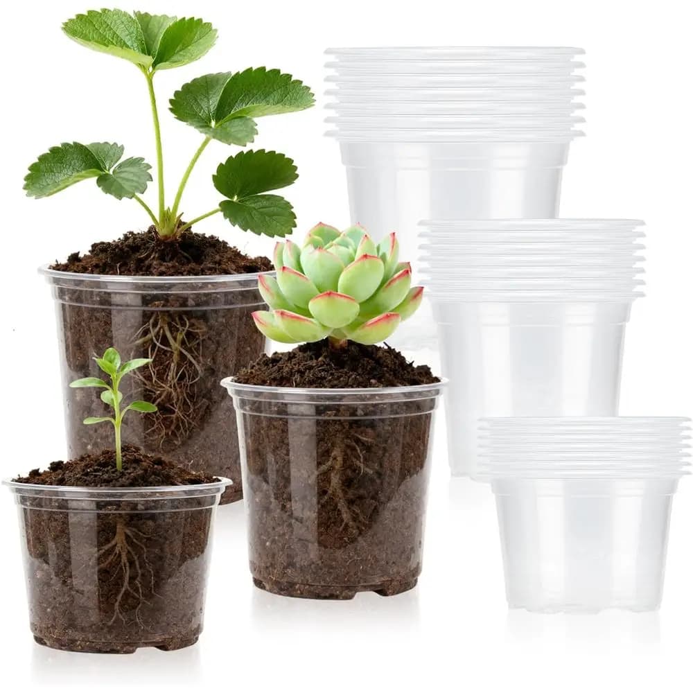 Transparent 3-4 inch nursery vases with drainage, 24 vases for seed germination for indoor plants
