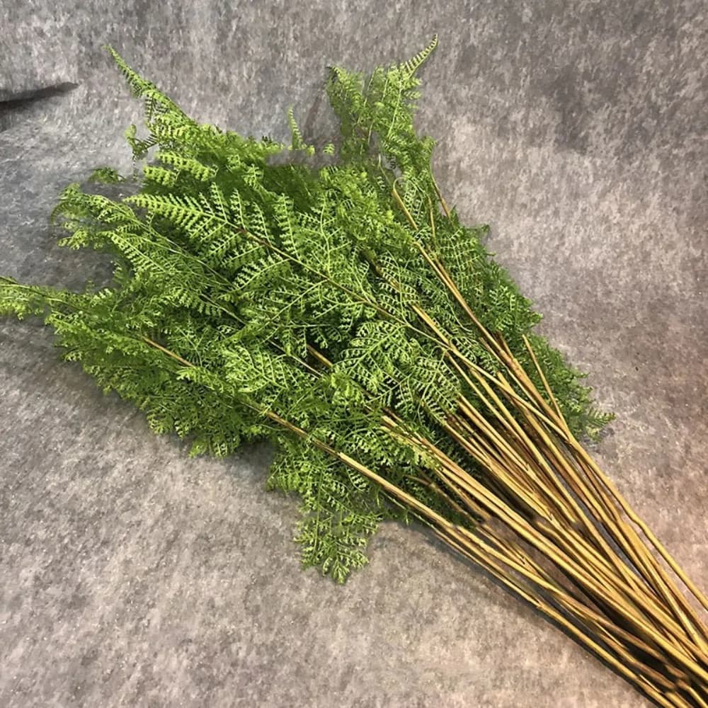 Realistic Artificial Sweat Rams, Elegant Fin Plants with Natural Effect, Artificial Sweat Sheets