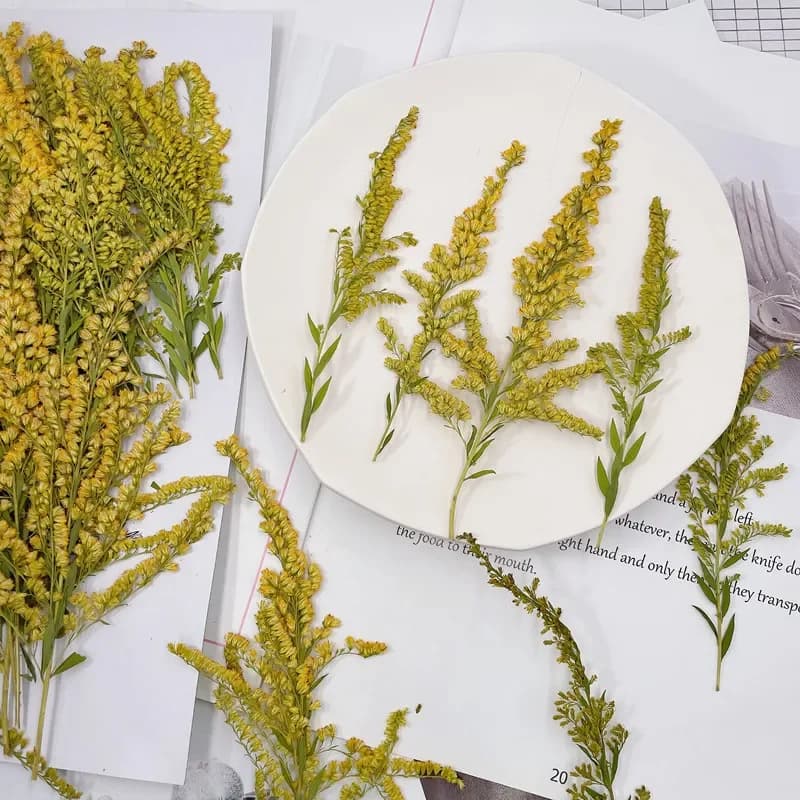 6-10cm/24 pieces, flower embossed plant pressed natural teaching manual do-da-te frame for photo bookmark desk lamp care of nails material floral