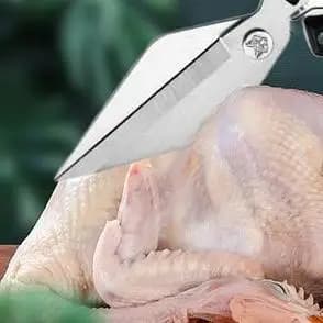 Forbici da cucina in acciaio inossidabile Forbici per ossa per uso domestico Ali di pollo Chopper per pesci Clip apribottiglie Cesoie da cucina in noce