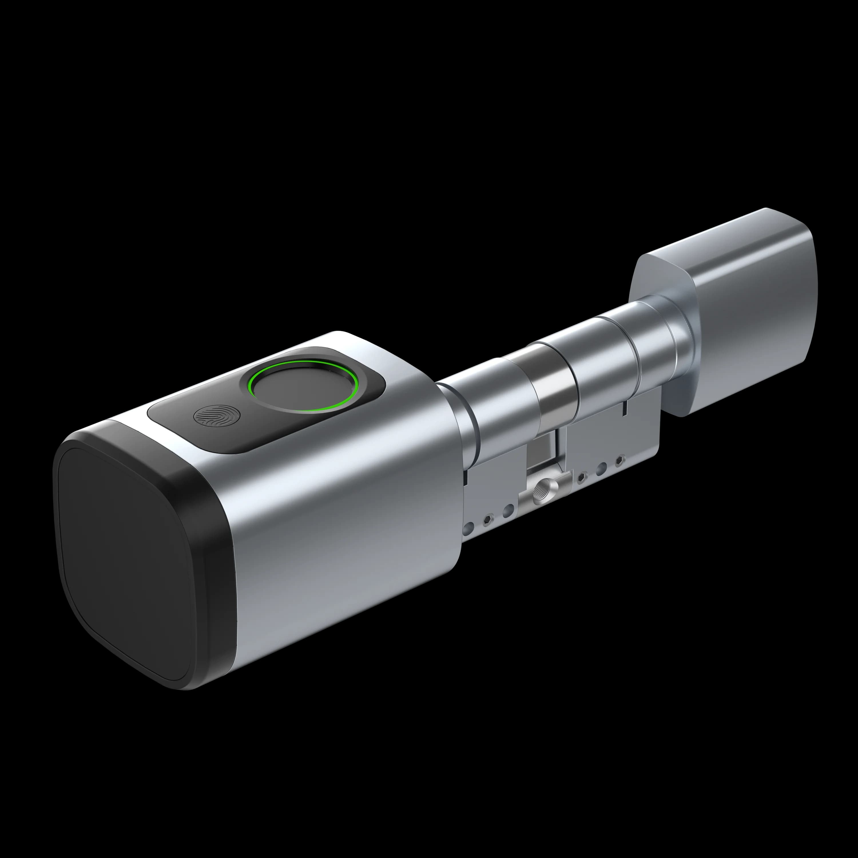 Tuya BLE Cilindro fai da te Nucleo Biometrico Scheda di impronte digitali App Tuya Serrature elettroniche Euro Cilindro Smart Lock