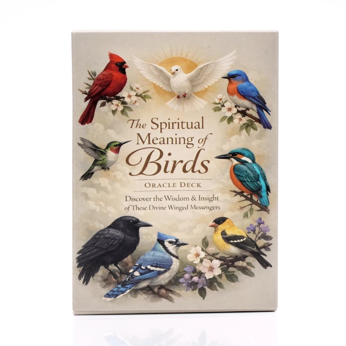 Spiritual Bird Oracle Card Deck 50 Feathered Messenger Cards for Intuitive Reading Symbolic Guidance Daily Reflection Nature Ins