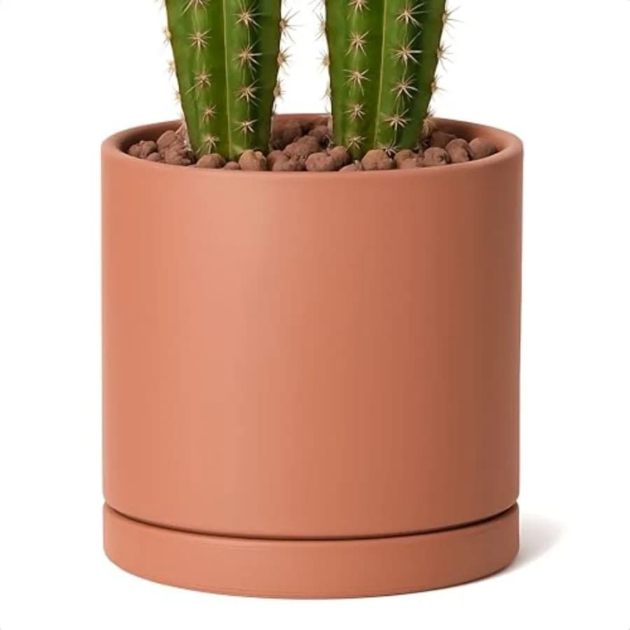 Vaso per piante in terracotta con foro di drenaggio e sottovaso, vaso cilindrico rotondo per piante da portico, 0-X-A