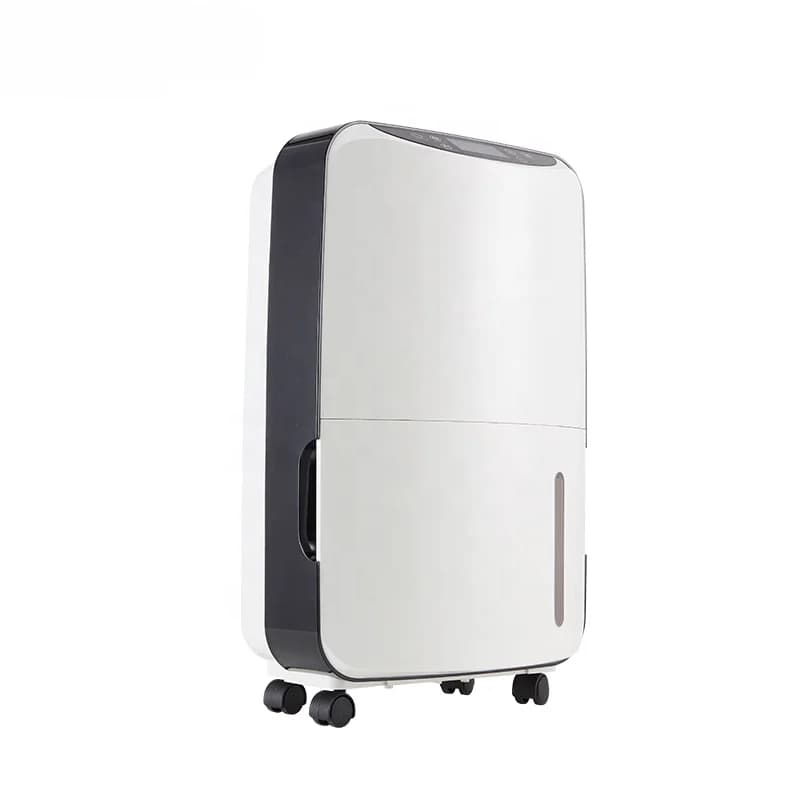 Deumidificatore domestico cinese con filtro a carbone attivo BKDH-820E deumidificatore domestico