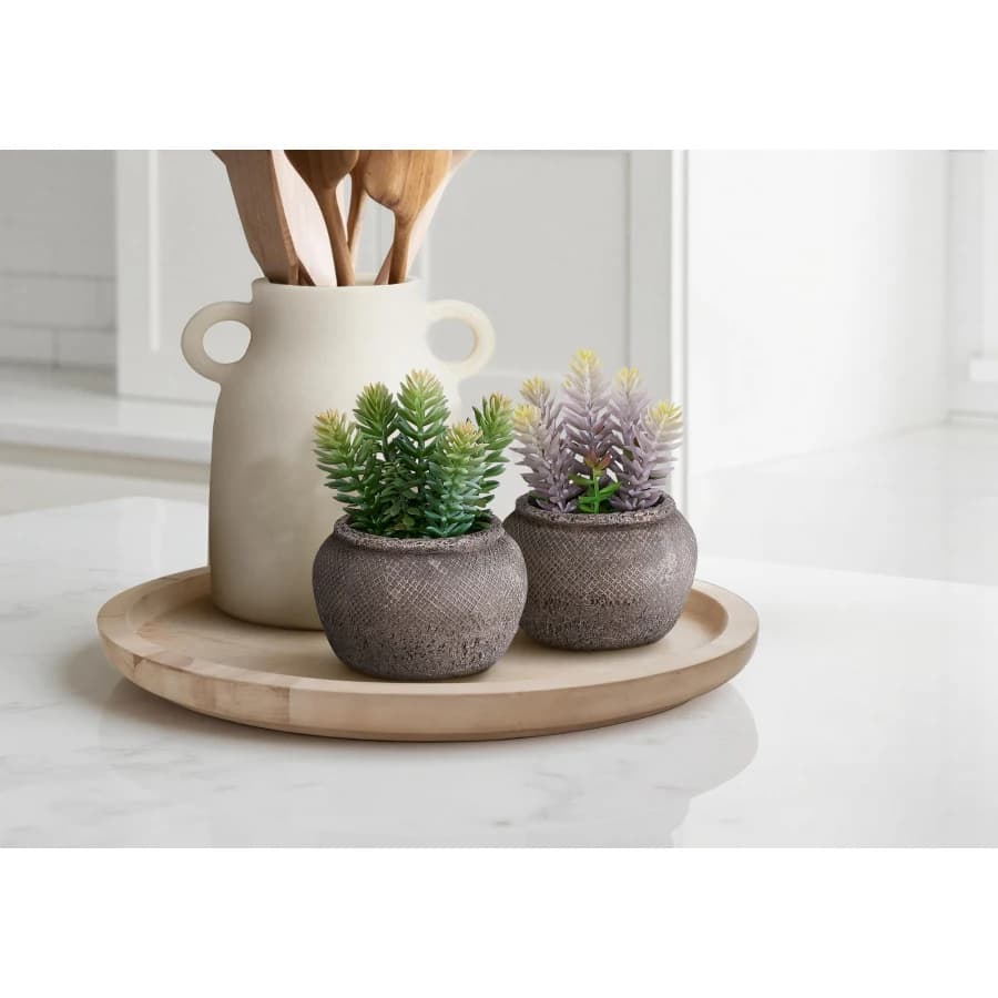 Set di 2 Piante Artificiali, 8 Piante Succulente Alte per Decorazione Tavolo, Vasi in Cemento Marrone, Stile Contemporaneo Moderno