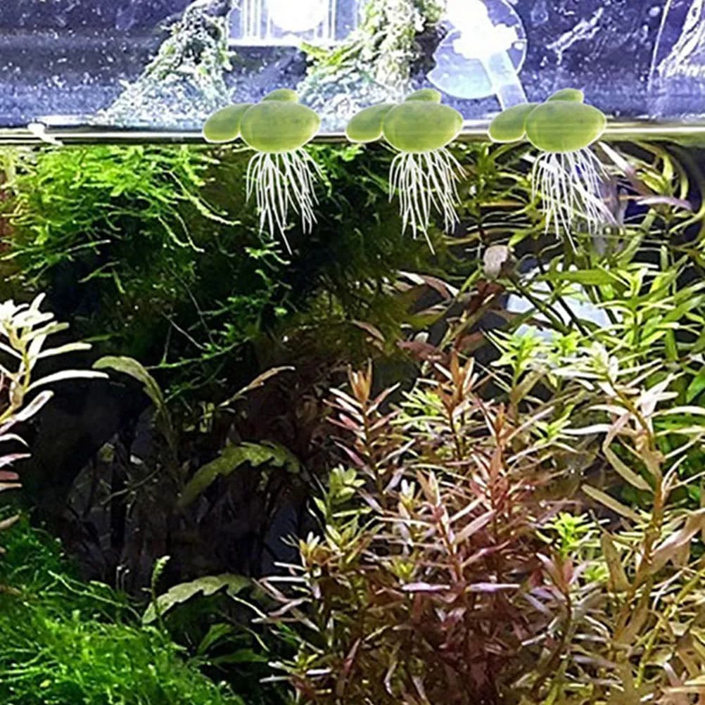 18 Pezzi di Piante Artificiali Galleggianti per Acquario, Decorazioni Realistiche in Plastica per Vasche dei Pesci, Erba Acquatica Decorativa