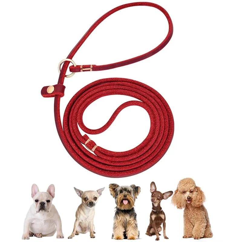 Guinzaglio a filo in vera pelle per cani di piccola taglia, cuccioli e animali domestici