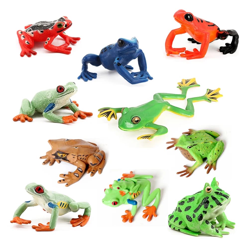Foresta pluviale Animali Rane Figurine Albero Rana Rana Bullfrog Squishy Action Figure Giocattolo Animali Figure Giocattoli per bambini Regali per bambini