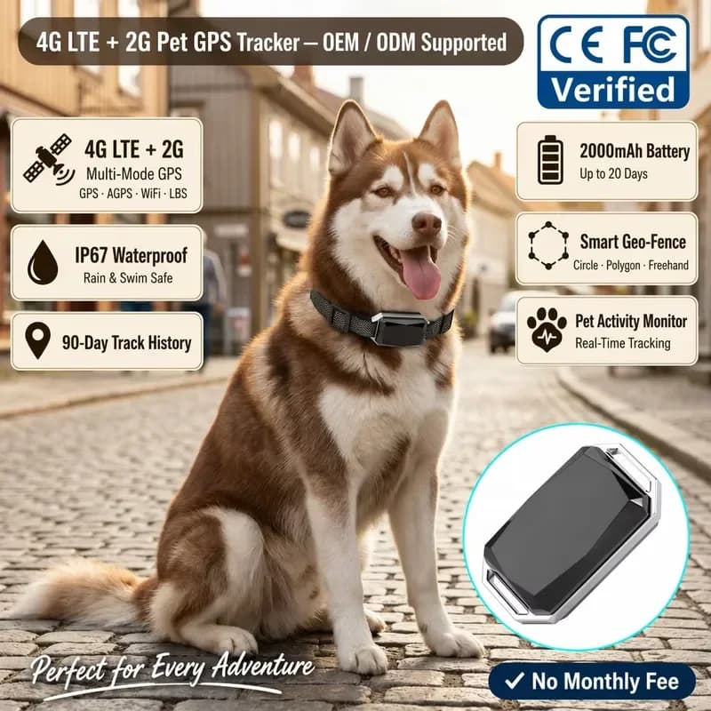 New Arrival Smart Dog Training and Activity Monitoring Collar Device 4G GPS Tracker for Pet and Animal Real Time APP Tracking