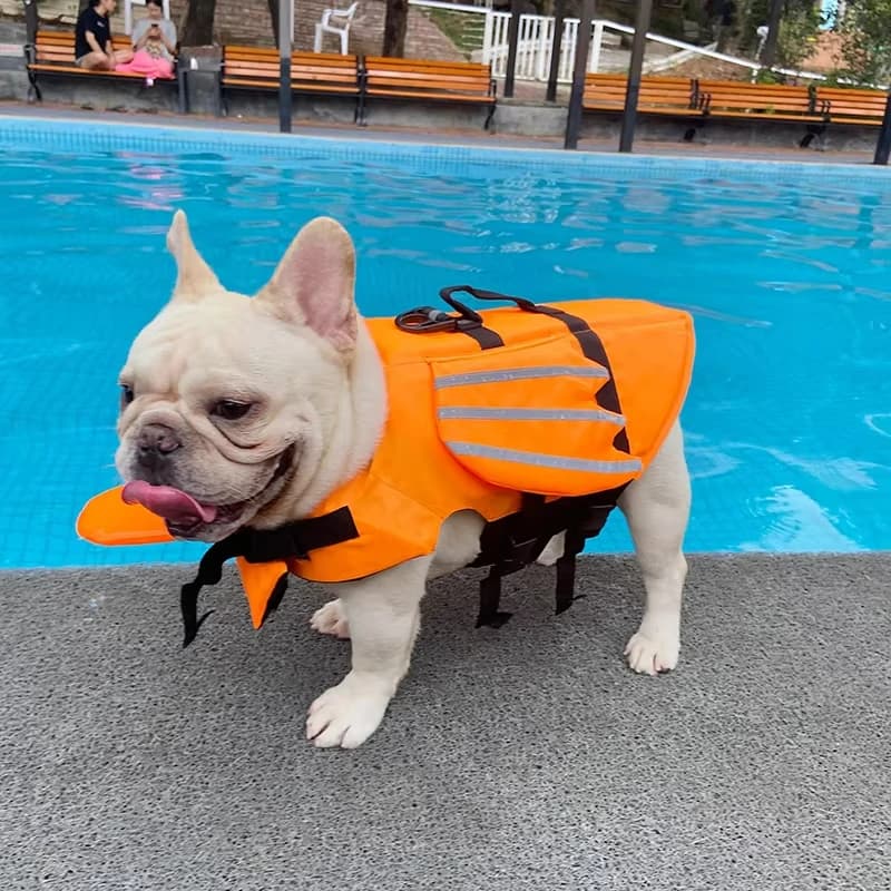 Giubbotto di salvataggio per cani da compagnia Costume da bagno per cani Bulldog francese Costumi da bagno per animali domestici Gilet di sicurezza Abbigliamento Abbigliamento estivo per cani di piccola taglia media