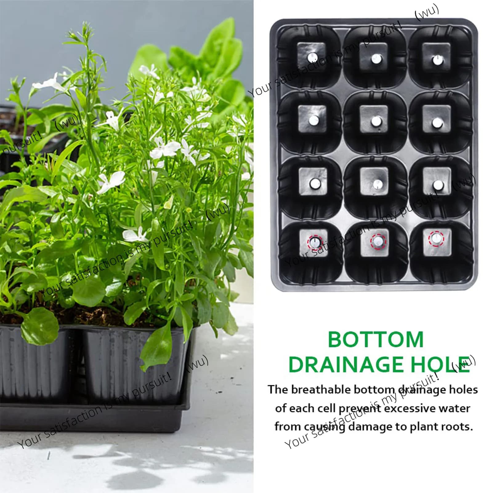 12 Holes garden Nursery Trays Succulent Planter Pots Eco-Friendly Nursery Pots Seed Starter Tray for Starting Flowers Herbs