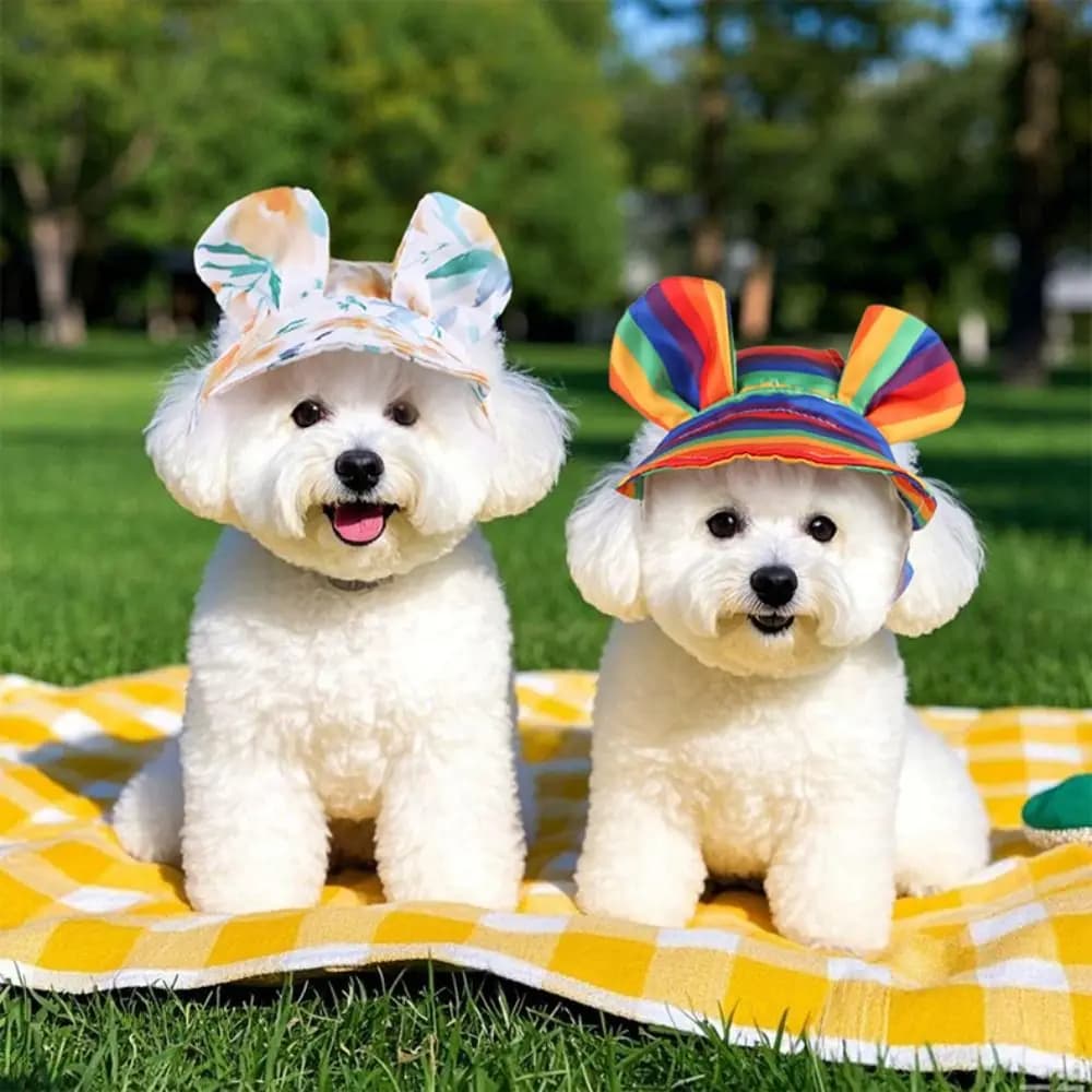 Accessori per Animali Domestici: Cappello Parasole per Cani con Protezione per le Orecchie, Cappello da Pescatore Colorato Regolabile per Cani, Simpatico Cappellino da Baseball per Animali Domestici per Esterni