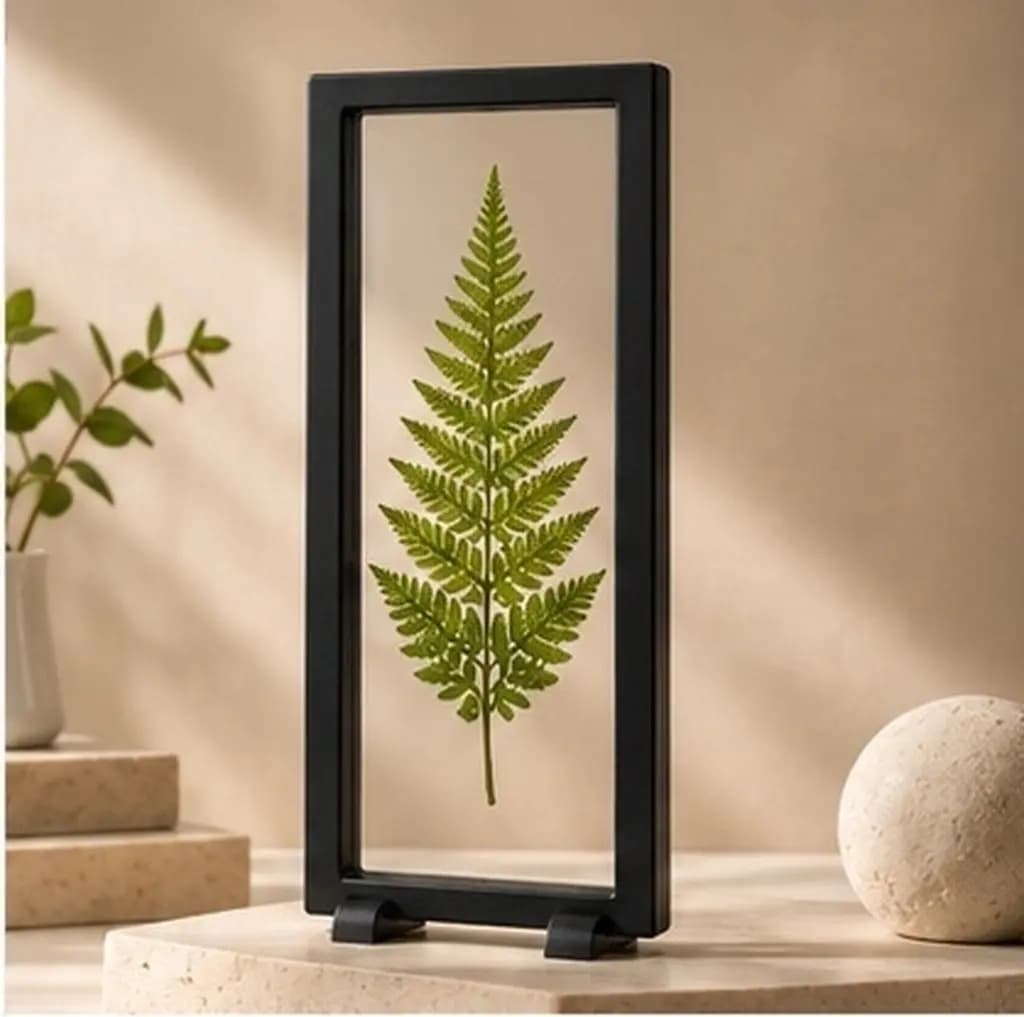 Transparent Floating Display Frame 3D Rock Case Coin Guitar Pick Jewelry Holder Mini Shell Floating Frame Stand Specimen Display