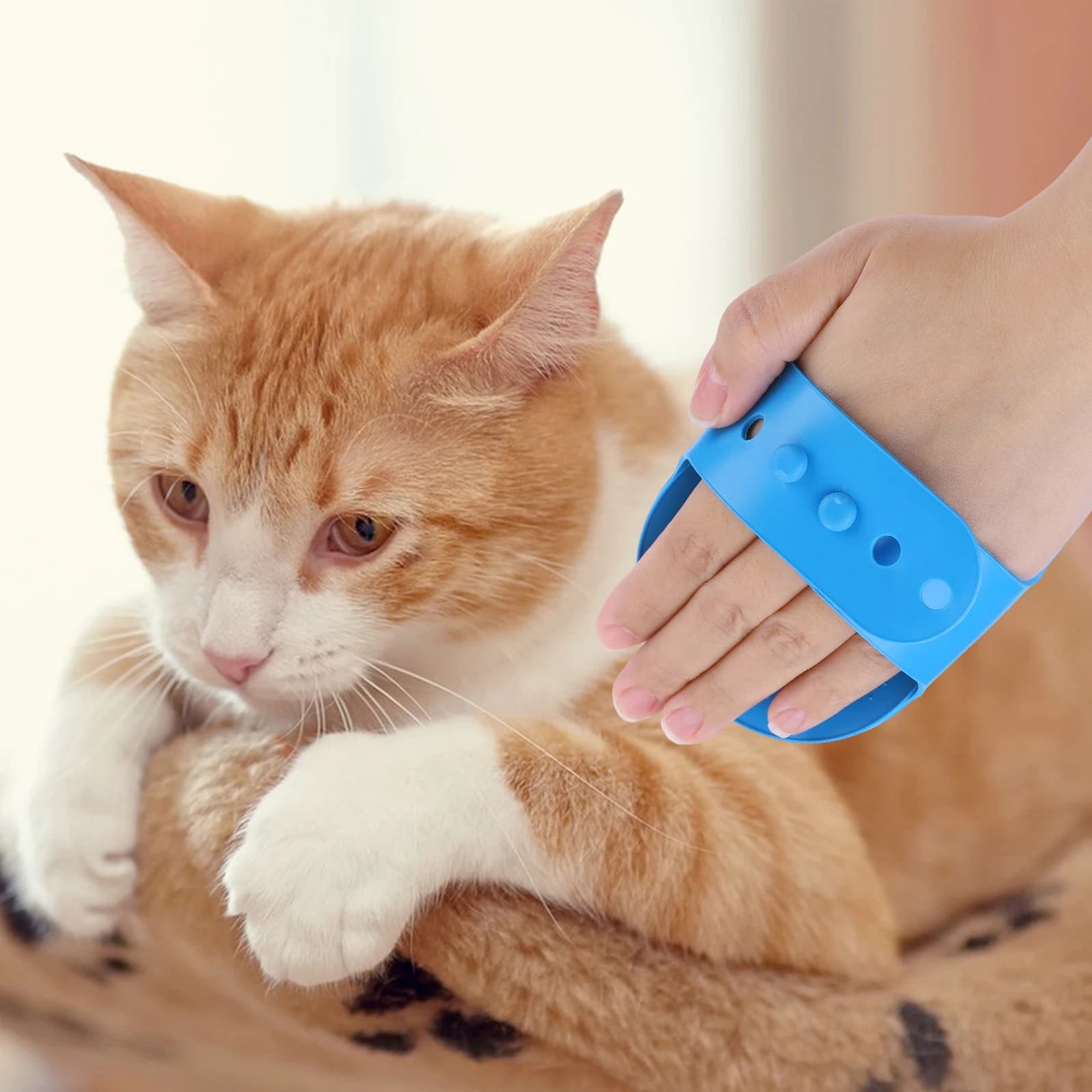 Set da 6 Pezzi per la Toelettatura degli Animali Domestici: Guanti in Silicone per il Lavaggio del Cane, Guanti da Bagno per Cani, Spazzola per Shampoo, Guanti per la Toelettatura di Cani e Gatti, Accessori per il Bagno di Cani e Gatti