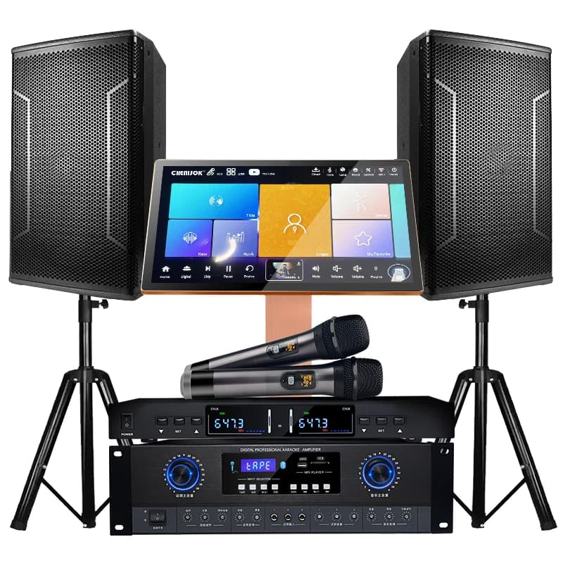Professional Max Karaoke Machine System High-Power Amplifiers And Speakers With 2 Wireless Microphones KTV Player Set