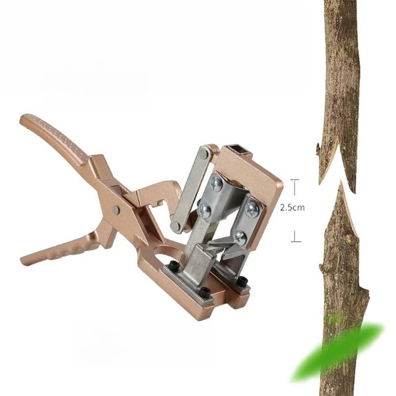 Multifunctional tool for grafting, tool for fruit tree grafting, grafting shears