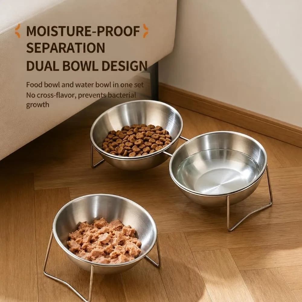 Stable 201 Stainless Steel Cat Bowls Raised Tilted Cat Food Bowl Shatter-resistant Neck Guard Pet Bowls Pet Supplies