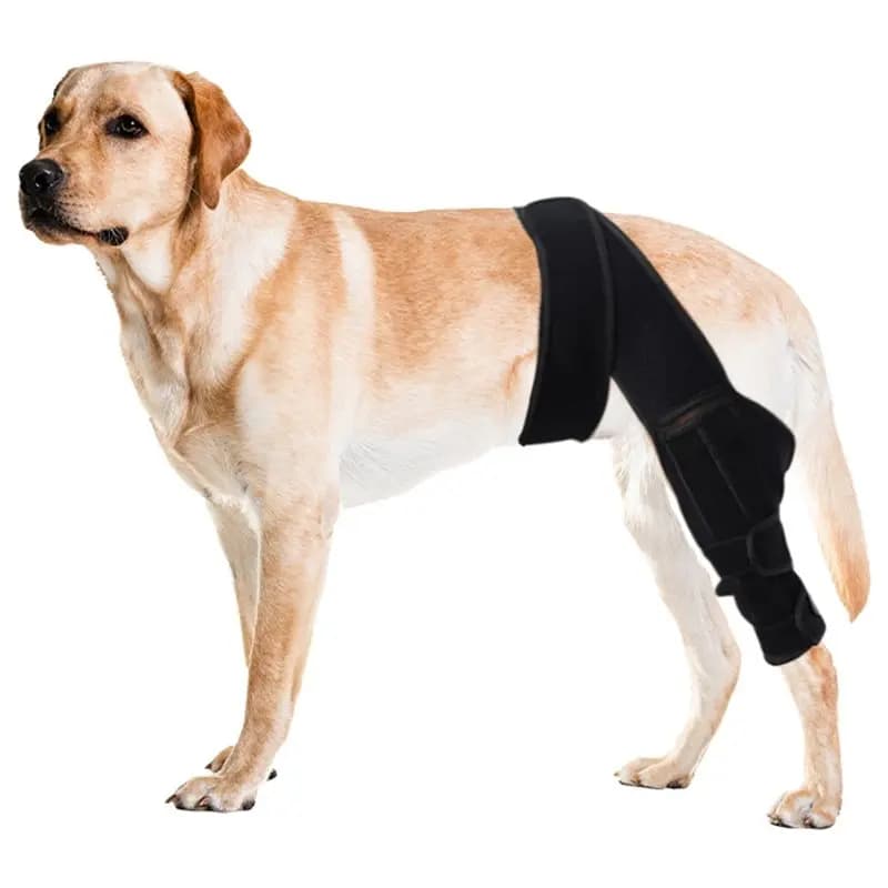 AT21-Dog Knee Brace For Torn ACL Hind Leg Rear Leg Support S