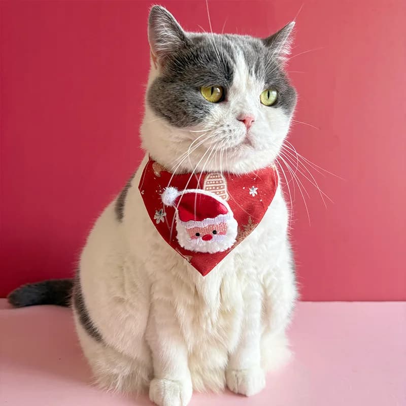 Set sciarpa natalizia per cani e gonna ad albero abbinata - Bandana scozzese con pupazzo di neve di Babbo Natale per animali domestici, decorazioni per la casa natalizie abbinate