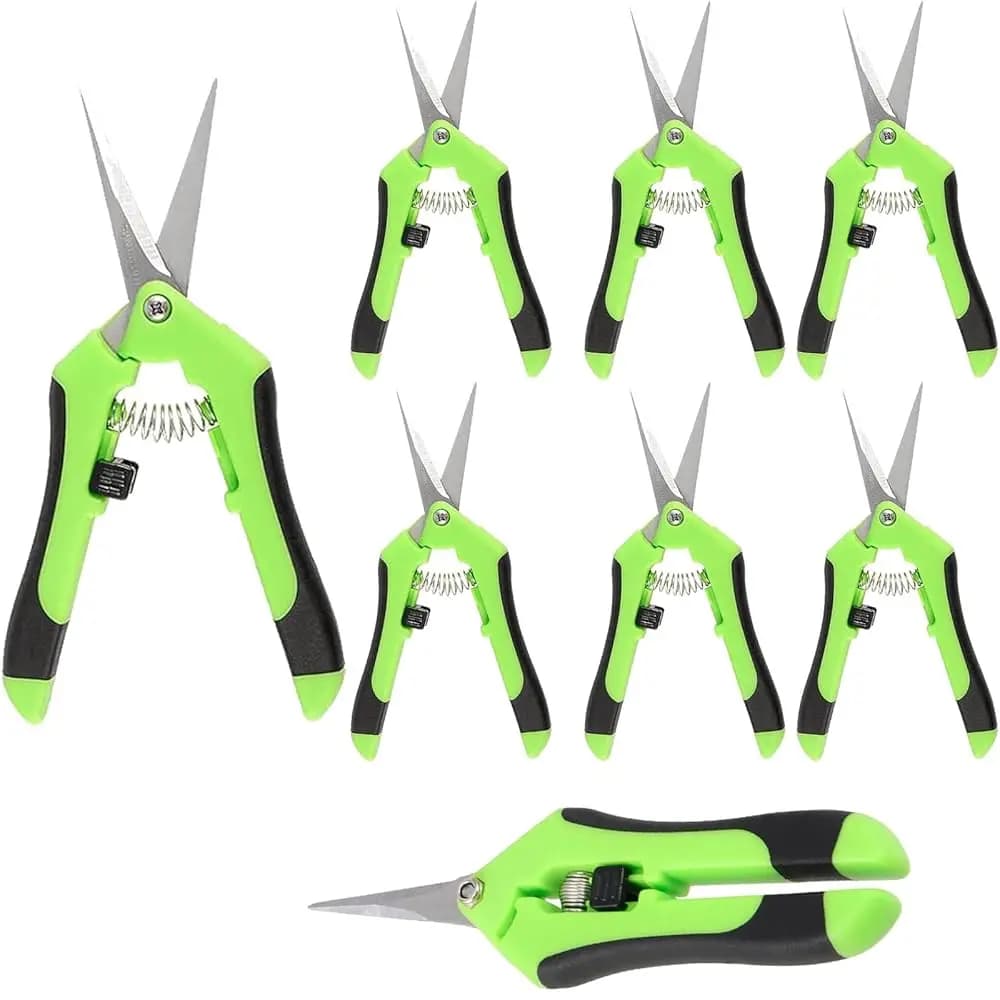 Set di 8 Forbici da Giardinaggio da 6,5 Pollici, Cesoie per Potatura con Punta Dritta in Acciaio Inossidabile, Micro Punta P